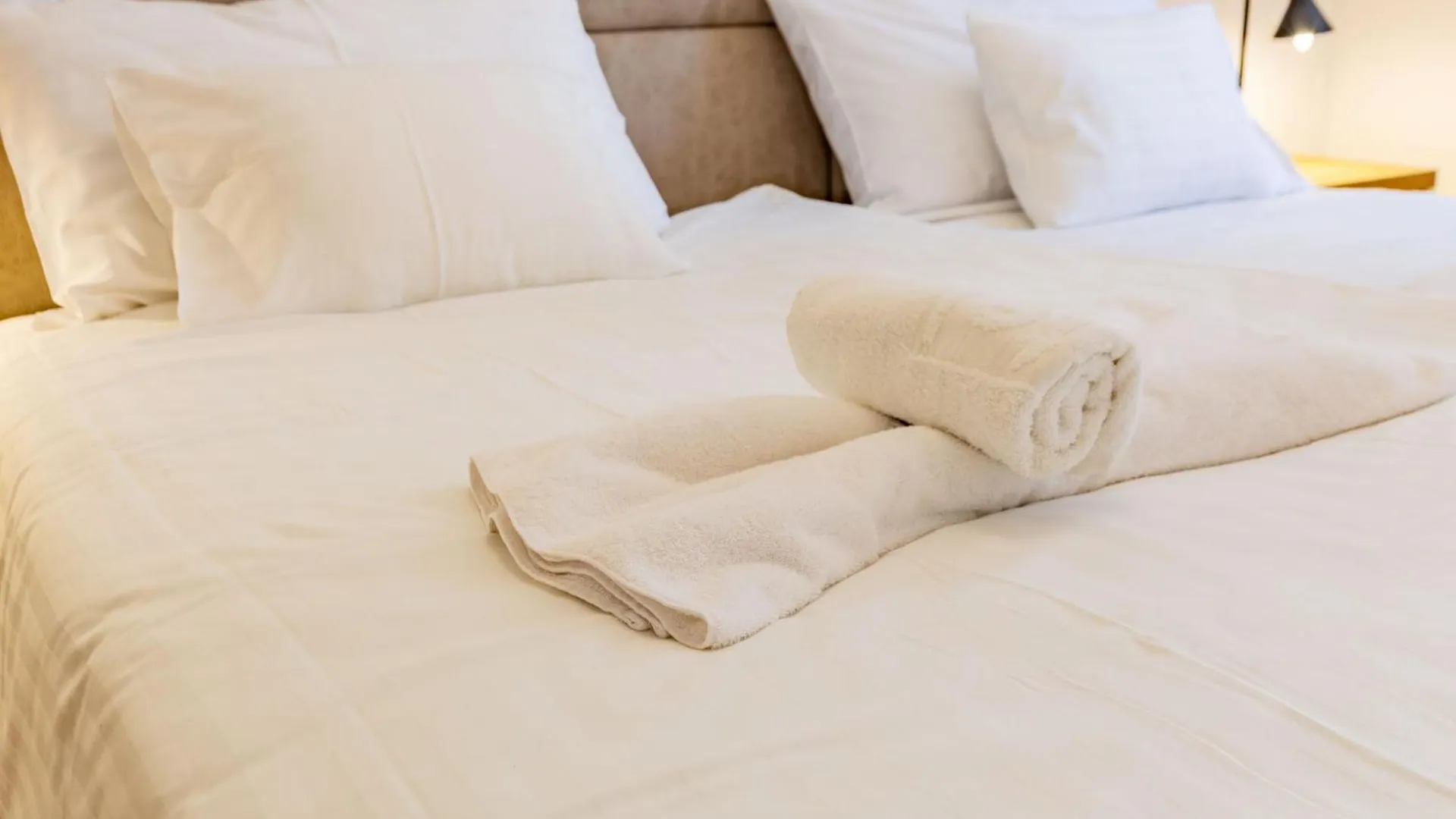 Fanny One Bedroom Apartment Zara